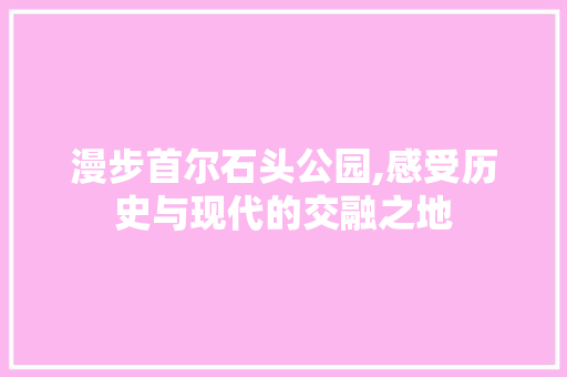 漫步首尔石头公园,感受历史与现代的交融之地