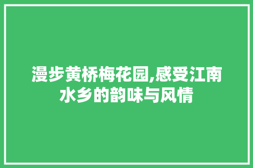 漫步黄桥梅花园,感受江南水乡的韵味与风情