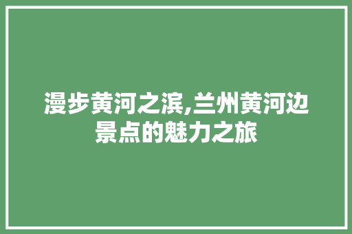 漫步黄河之滨,兰州黄河边景点的魅力之旅