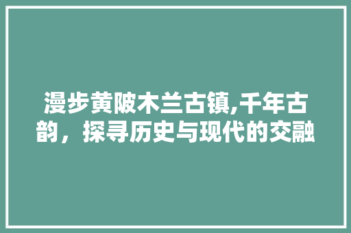 漫步黄陂木兰古镇,千年古韵，探寻历史与现代的交融