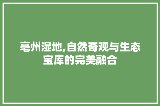 亳州湿地,自然奇观与生态宝库的完美融合