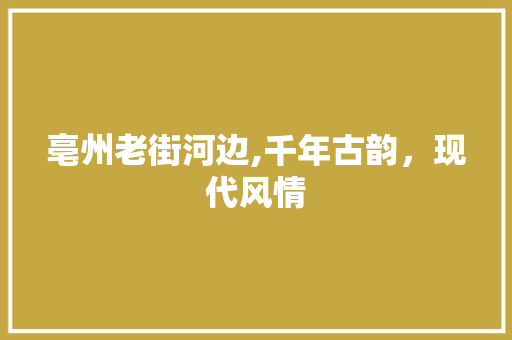 亳州老街河边,千年古韵，现代风情