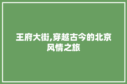 王府大街,穿越古今的北京风情之旅