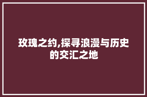 玫瑰之约,探寻浪漫与历史的交汇之地