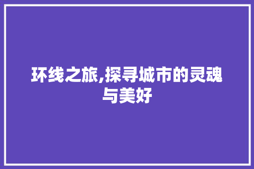 环线之旅,探寻城市的灵魂与美好