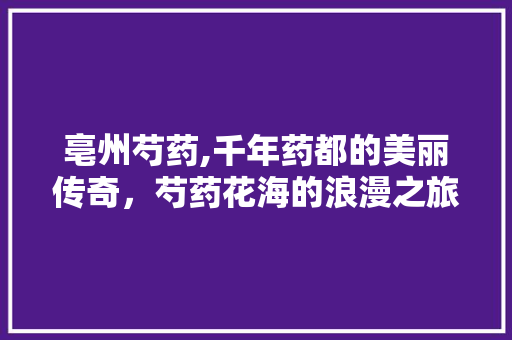 亳州芍药,千年药都的美丽传奇，芍药花海的浪漫之旅