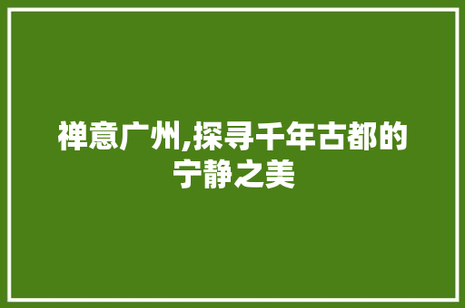 禅意广州,探寻千年古都的宁静之美