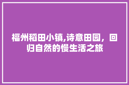 福州稻田小镇,诗意田园，回归自然的慢生活之旅