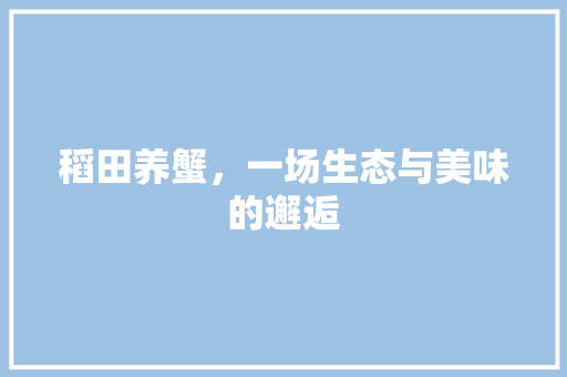 稻田养蟹，一场生态与美味的邂逅