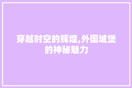 穿越时空的辉煌,外国城堡的神秘魅力