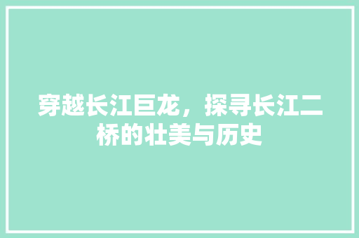 穿越长江巨龙，探寻长江二桥的壮美与历史