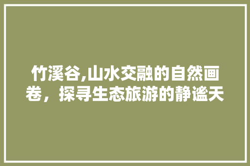 竹溪谷,山水交融的自然画卷，探寻生态旅游的静谧天堂