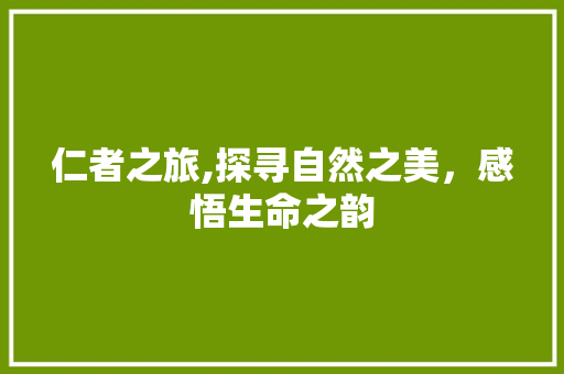 仁者之旅,探寻自然之美，感悟生命之韵  第1张