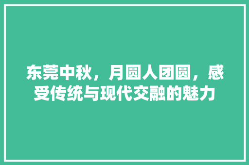 东莞中秋，月圆人团圆，感受传统与现代交融的魅力  第1张