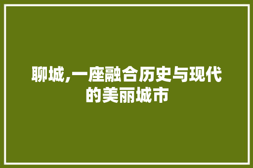 聊城,一座融合历史与现代的美丽城市