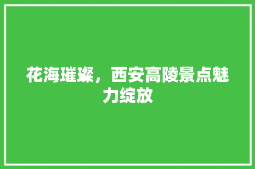 花海璀璨，西安高陵景点魅力绽放