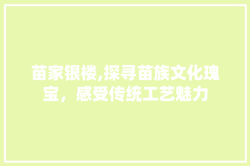 苗家银楼,探寻苗族文化瑰宝，感受传统工艺魅力