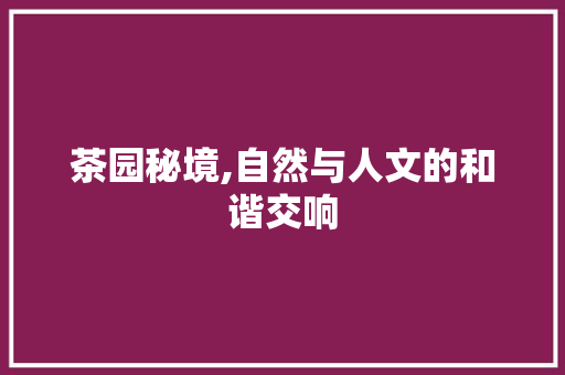 茶园秘境,自然与人文的和谐交响