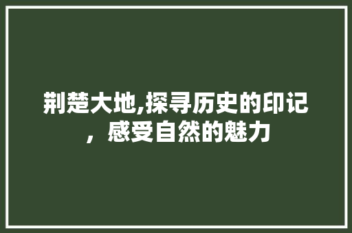 荆楚大地,探寻历史的印记，感受自然的魅力