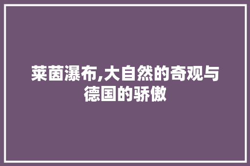 莱茵瀑布,大自然的奇观与德国的骄傲