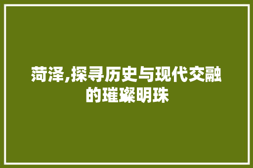 菏泽,探寻历史与现代交融的璀璨明珠