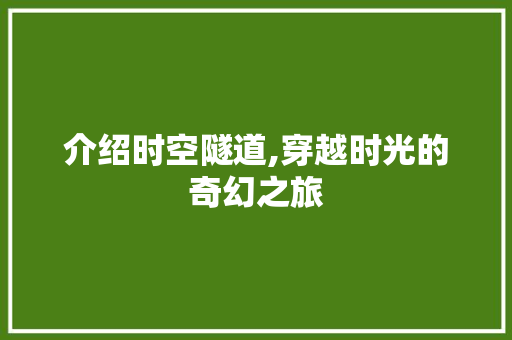 介绍时空隧道,穿越时光的奇幻之旅