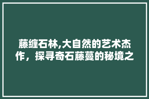 藤缠石林,大自然的艺术杰作，探寻奇石藤蔓的秘境之旅