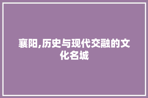 襄阳,历史与现代交融的文化名城