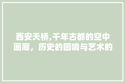 西安天桥,千年古都的空中画廊，历史的回响与艺术的交融