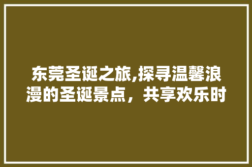 东莞圣诞之旅,探寻温馨浪漫的圣诞景点，共享欢乐时光