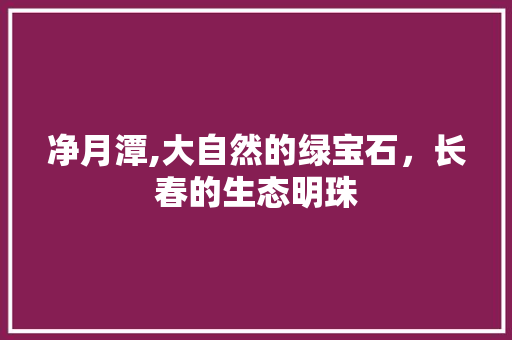 净月潭,大自然的绿宝石，长春的生态明珠