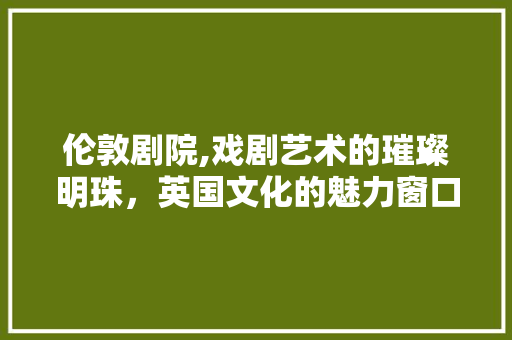 伦敦剧院,戏剧艺术的璀璨明珠，英国文化的魅力窗口