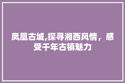 凤凰古城,探寻湘西风情，感受千年古镇魅力  第1张