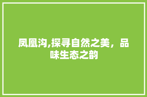 凤凰沟,探寻自然之美，品味生态之韵