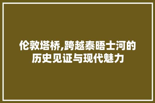 伦敦塔桥,跨越泰晤士河的历史见证与现代魅力