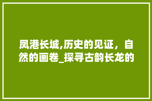 凤港长城,历史的见证，自然的画卷_探寻古韵长龙的神秘魅力