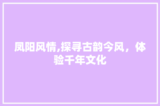 凤阳风情,探寻古韵今风，体验千年文化