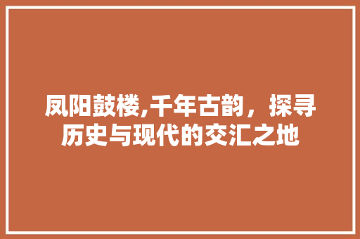 凤阳鼓楼,千年古韵，探寻历史与现代的交汇之地