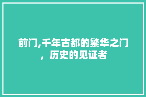 前门,千年古都的繁华之门，历史的见证者