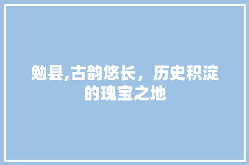 勉县,古韵悠长，历史积淀的瑰宝之地