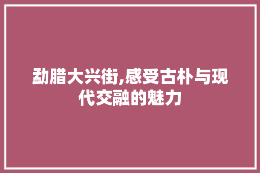 勐腊大兴街,感受古朴与现代交融的魅力