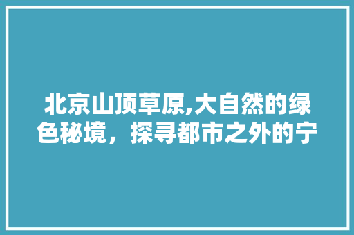 北京山顶草原,大自然的绿色秘境，探寻都市之外的宁静与诗意