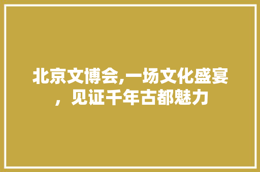 北京文博会,一场文化盛宴，见证千年古都魅力