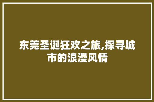 东莞圣诞狂欢之旅,探寻城市的浪漫风情