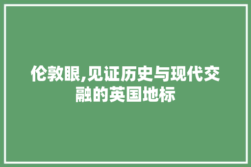 伦敦眼,见证历史与现代交融的英国地标