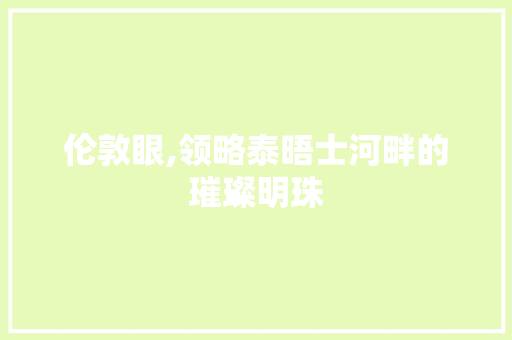 伦敦眼,领略泰晤士河畔的璀璨明珠