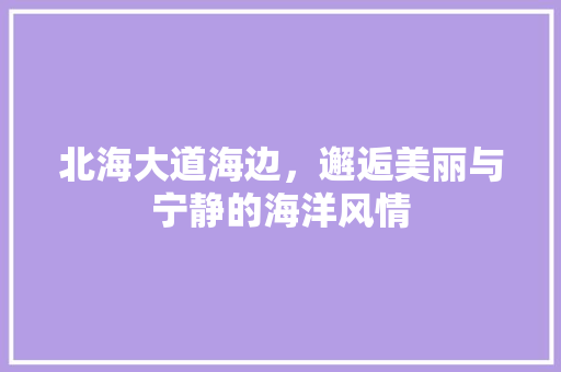 北海大道海边，邂逅美丽与宁静的海洋风情