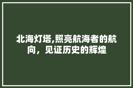 北海灯塔,照亮航海者的航向，见证历史的辉煌  第1张