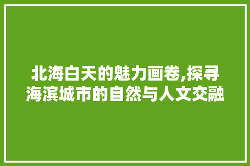 北海白天的魅力画卷,探寻海滨城市的自然与人文交融