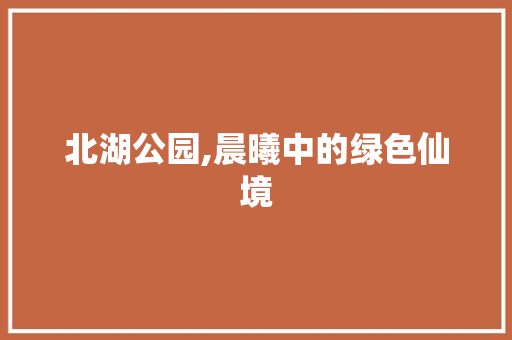 北湖公园,晨曦中的绿色仙境